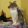 Отзыв от Анжела Рыбакова